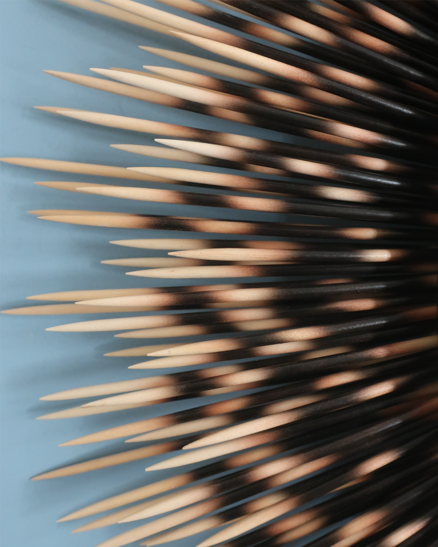 btquills.png