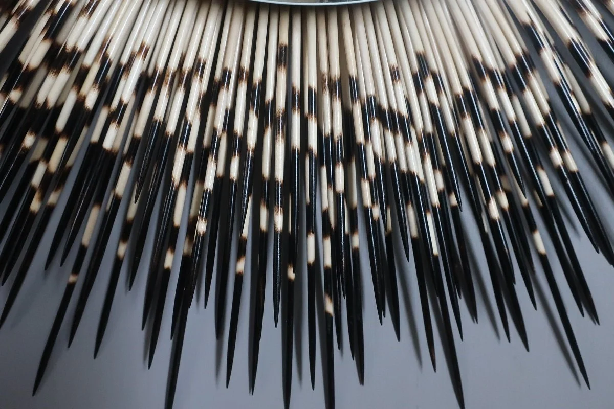 42_18_dt_frameless3.jpg
