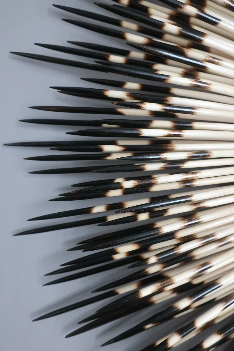 33_18_frameless_dt2.jpg