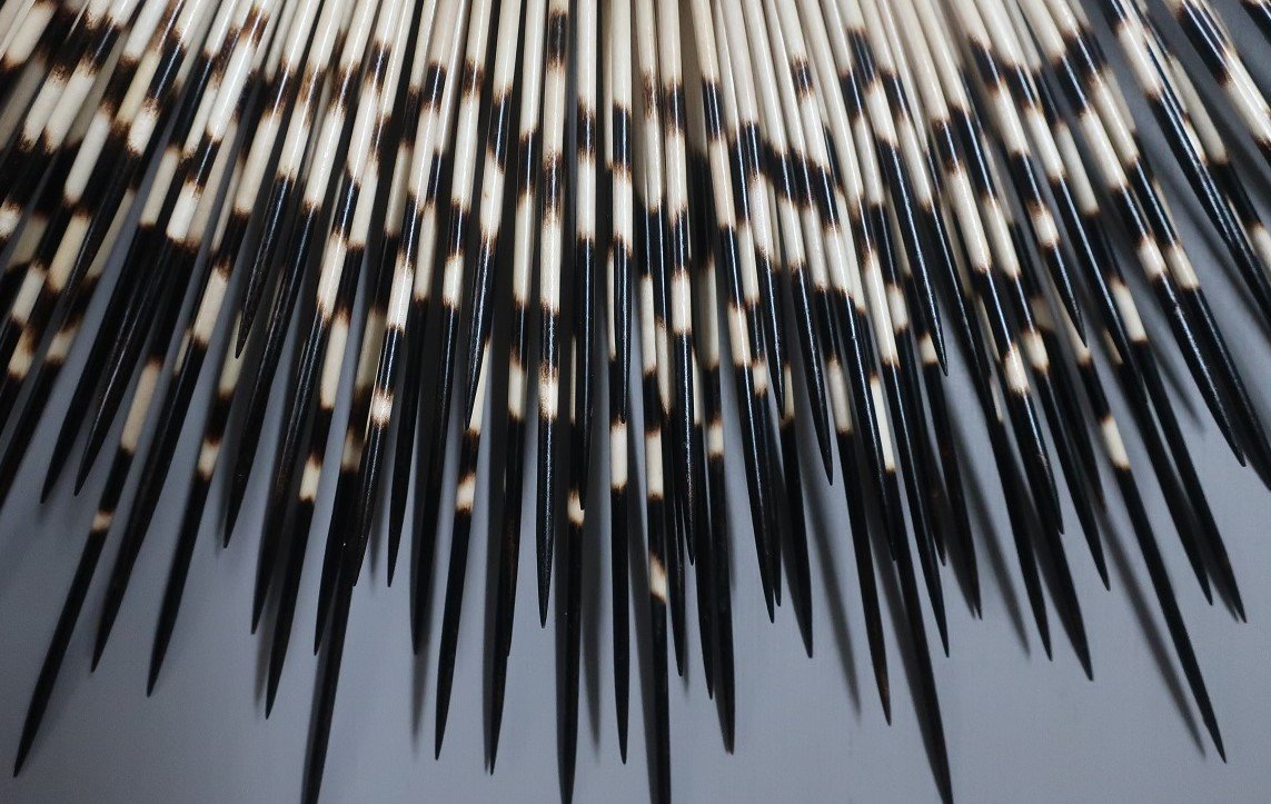 37_18_dt_frameless2.jpg