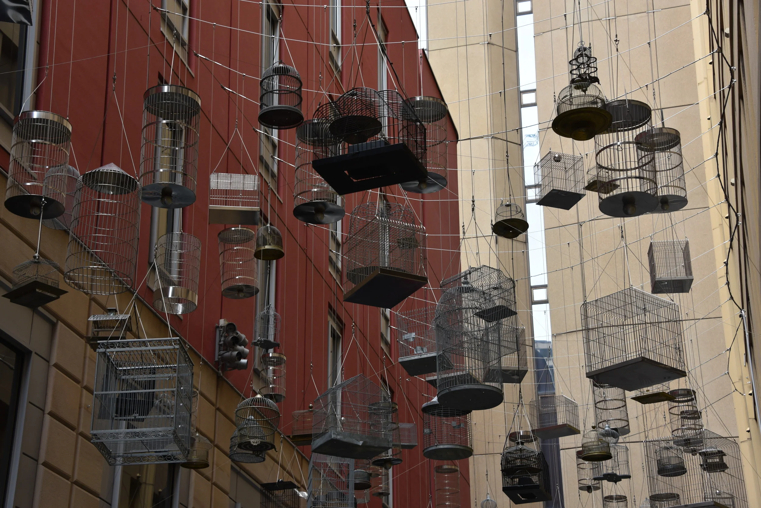 Birdcage Art Display, Sydney