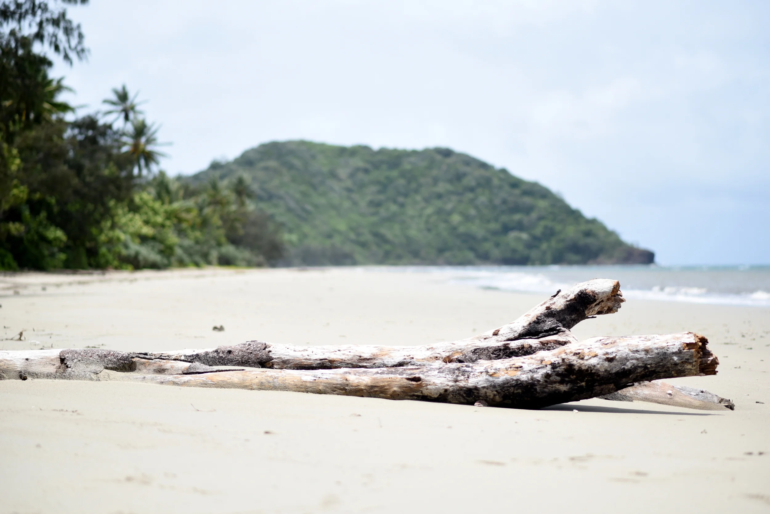 Cape Tribulation