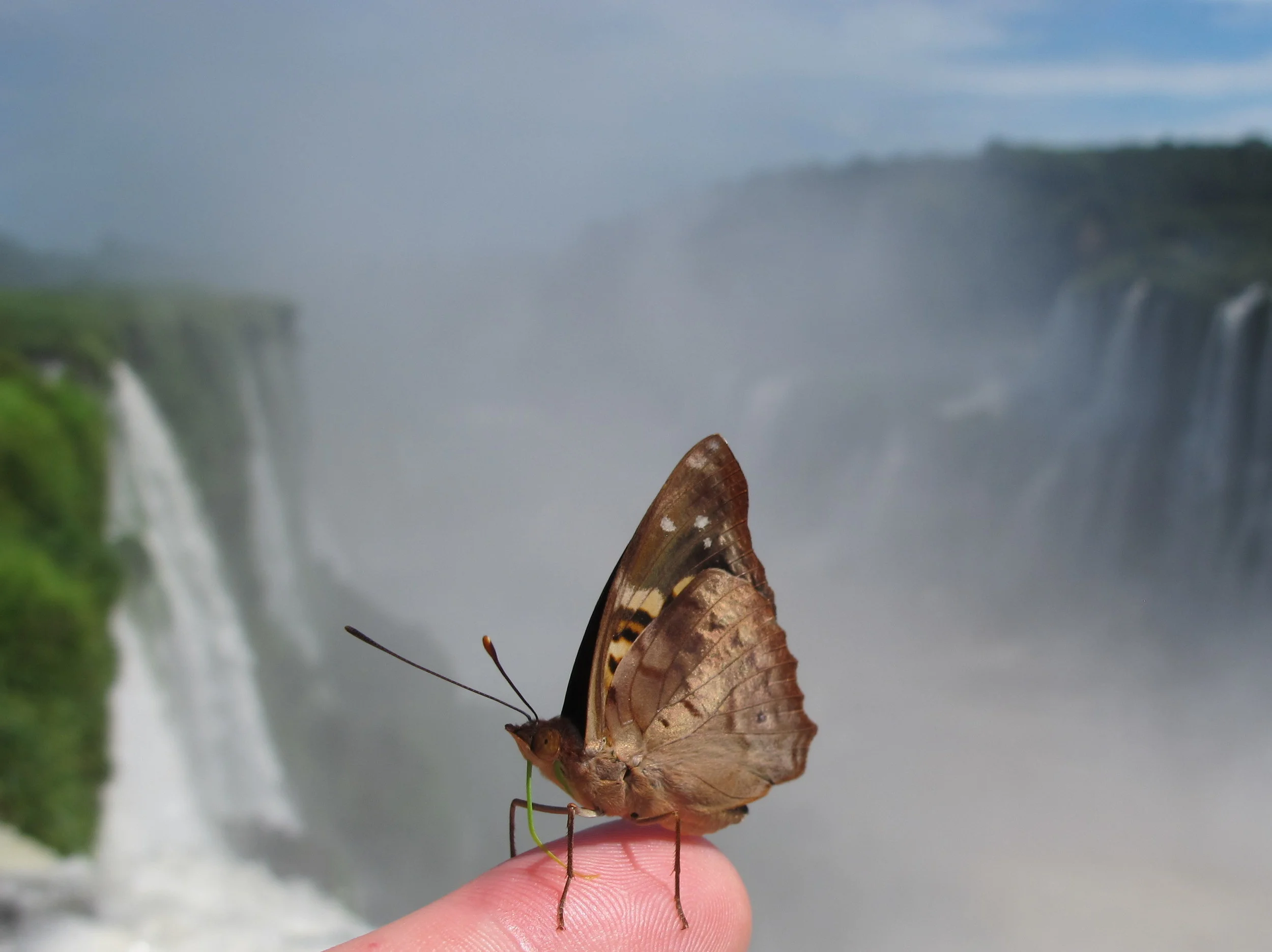 Iguazu Falls, Argentina