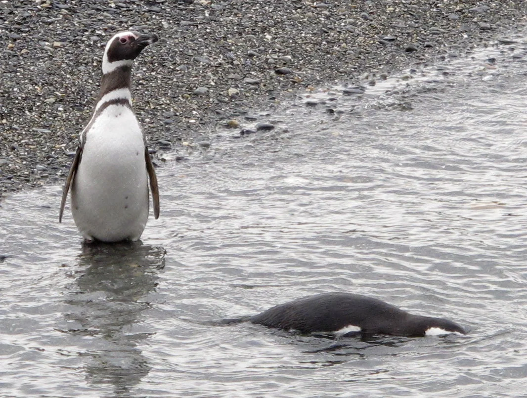 Ushuaia, Argentina