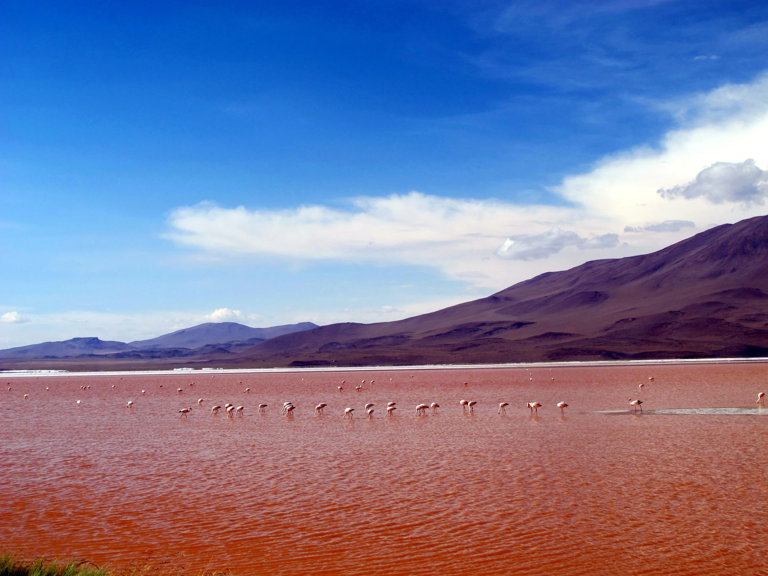 Laguna Colorada, Bolivia