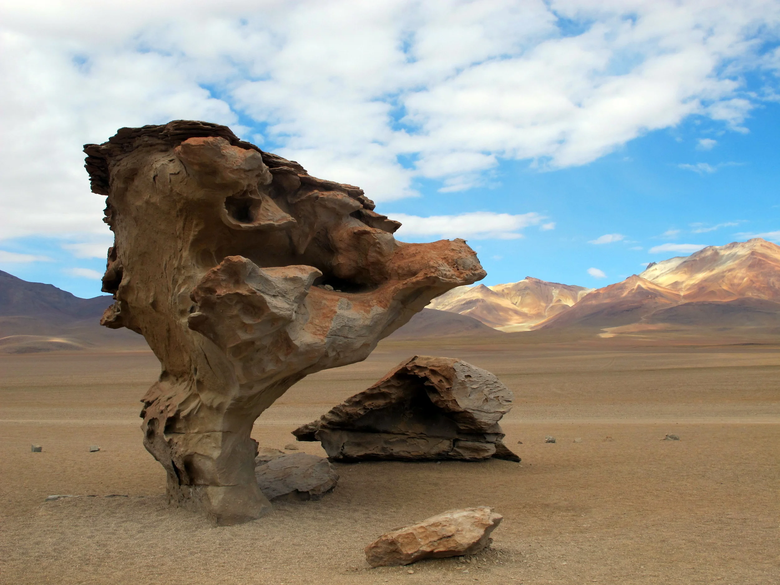 Arbol de Piedra, Bolivia
