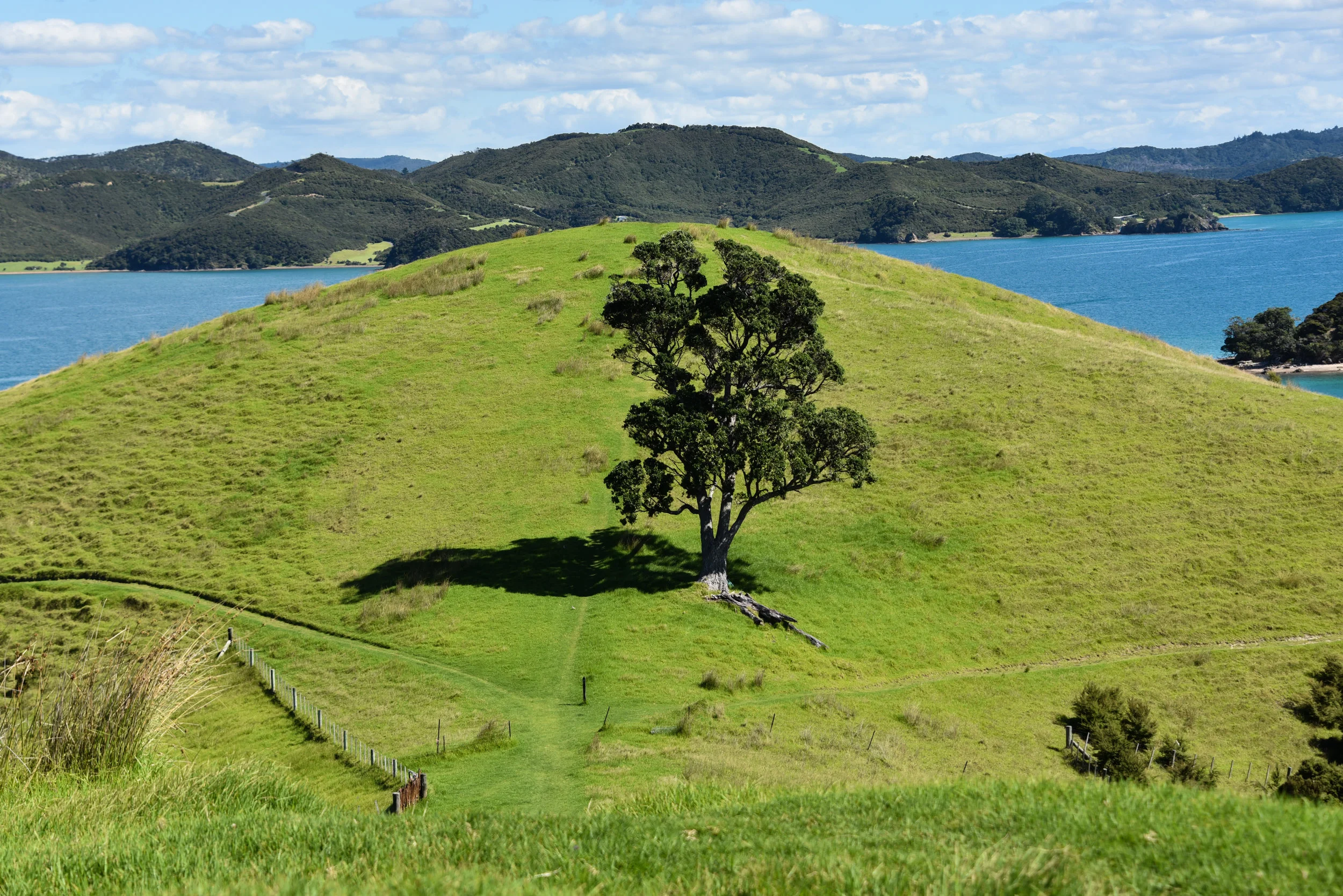 Bay of Islands