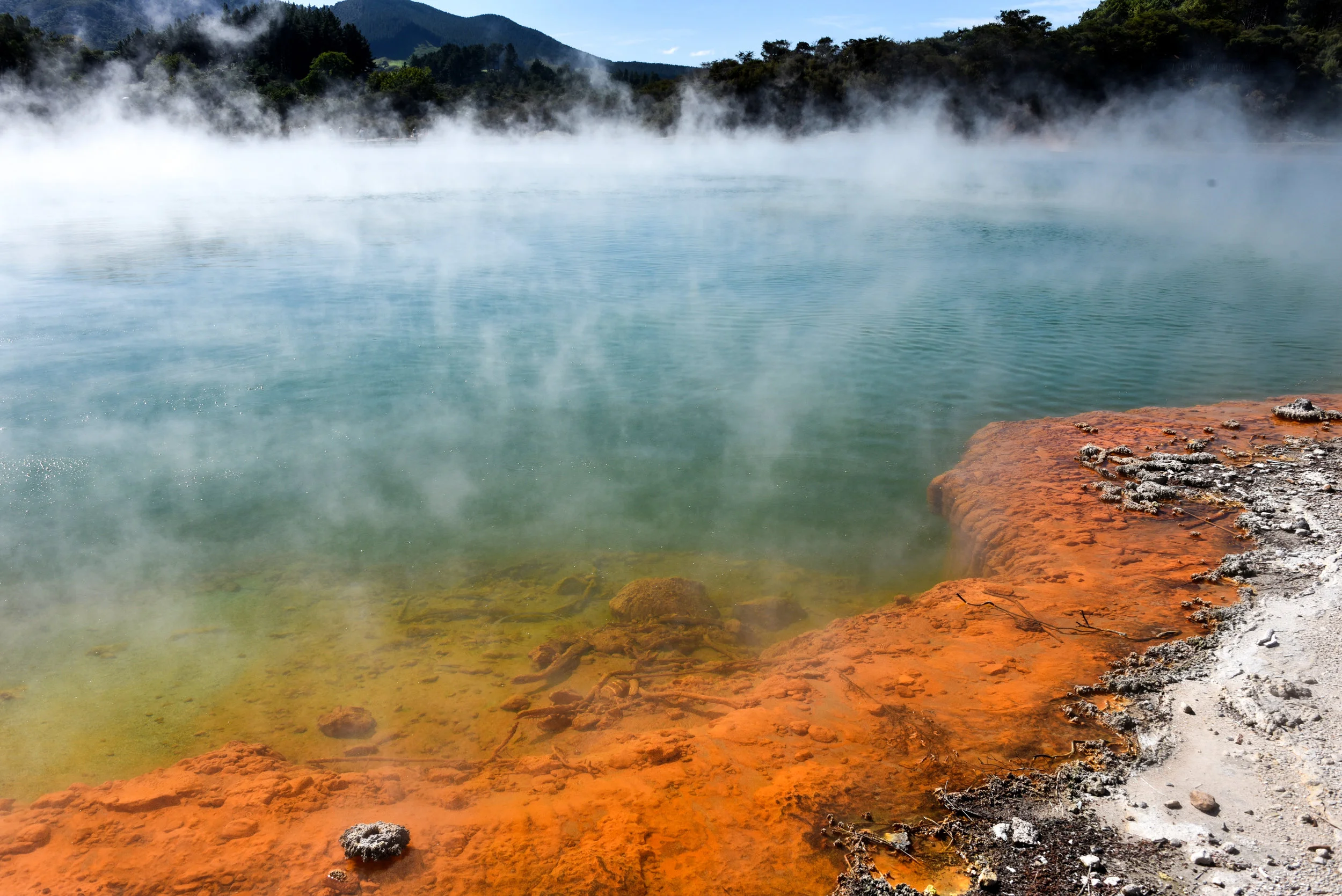 Rotorua