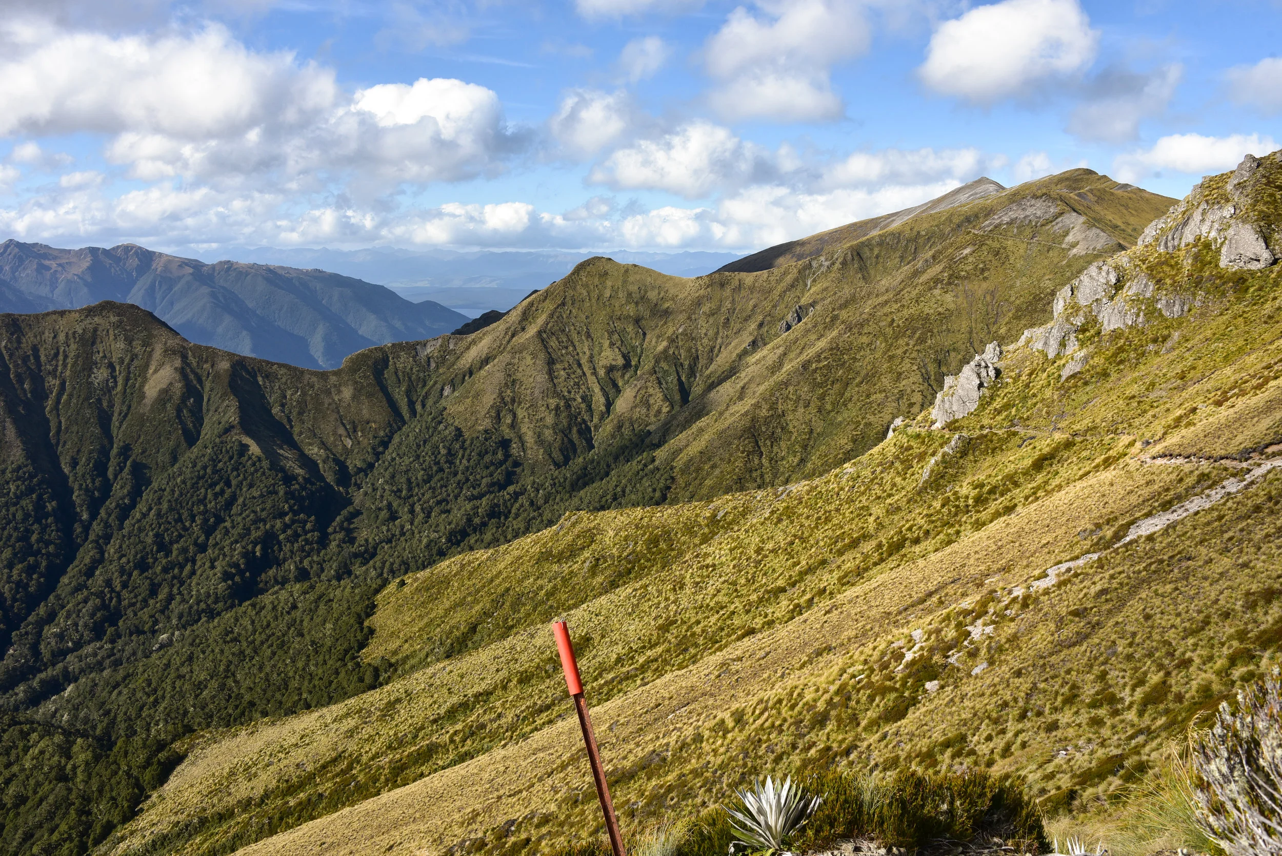 Kepler Track