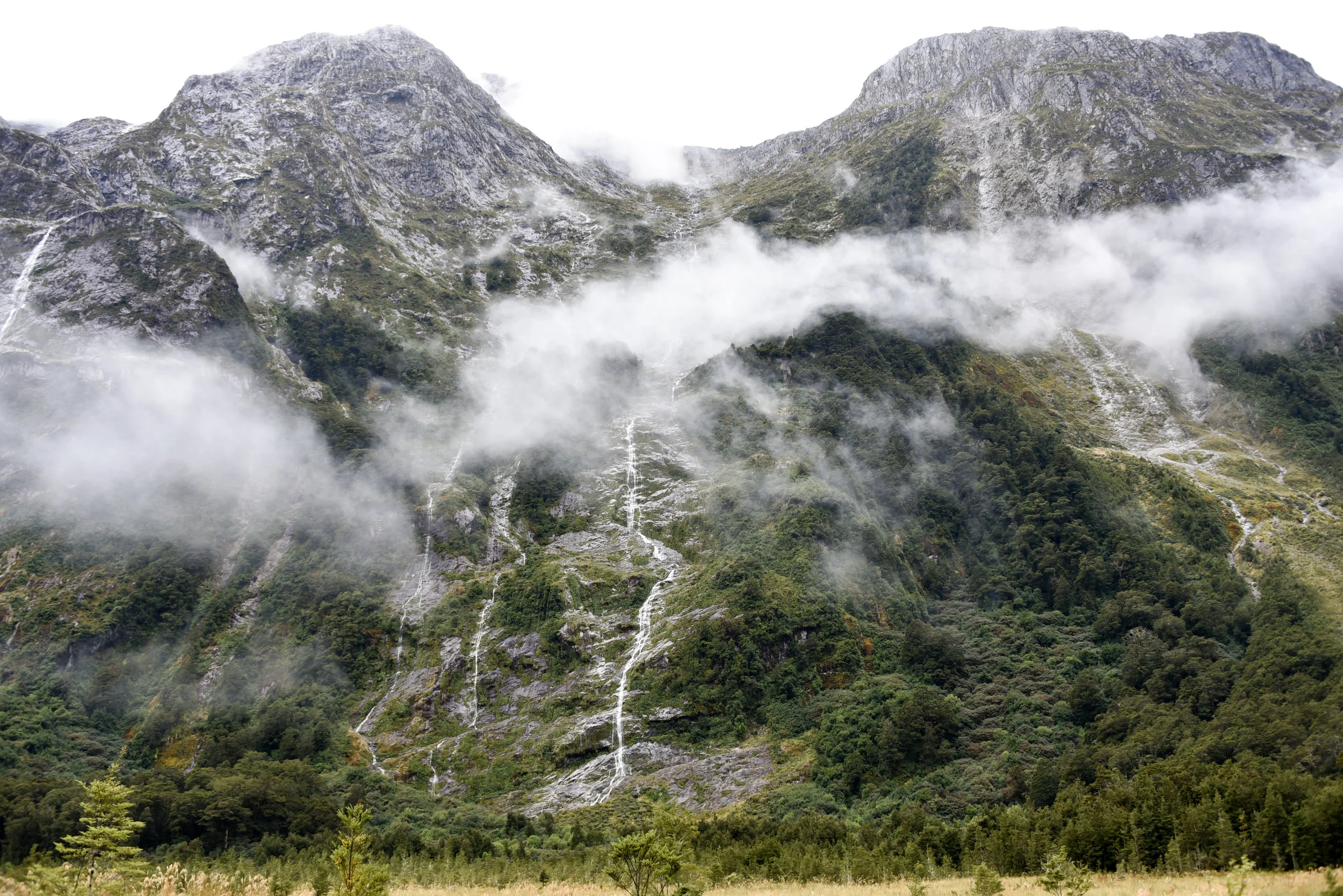 Milford Track