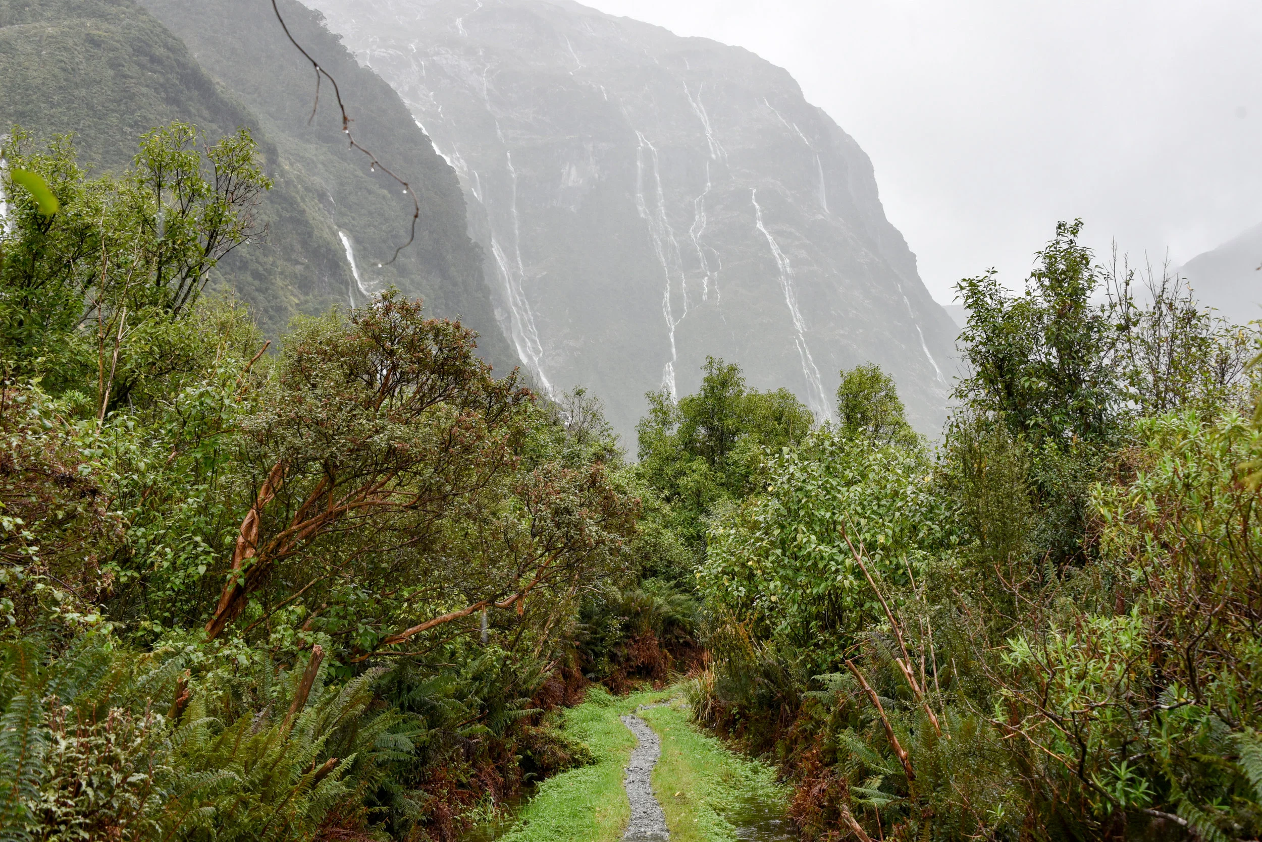 Milford Track