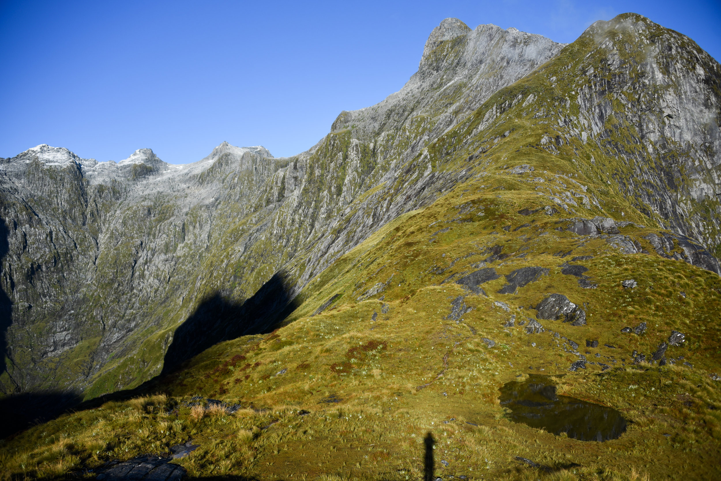 Mackinnon Pass, Milford Track