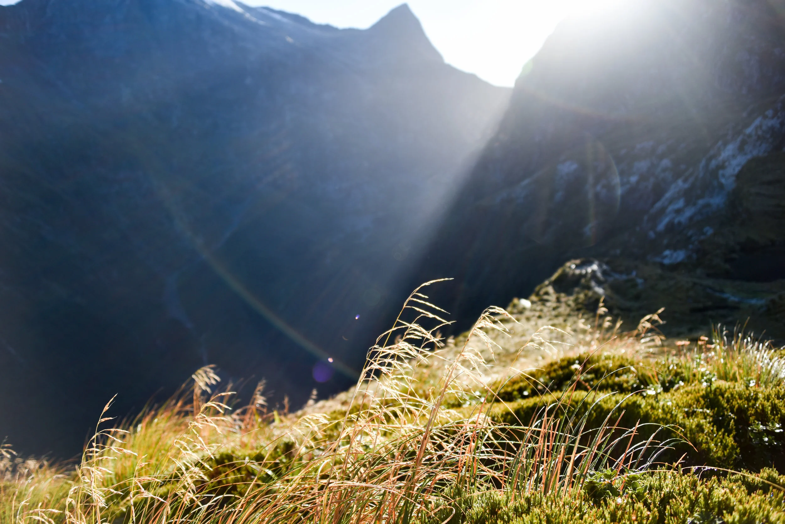 Mackinnon Pass, Milford Track
