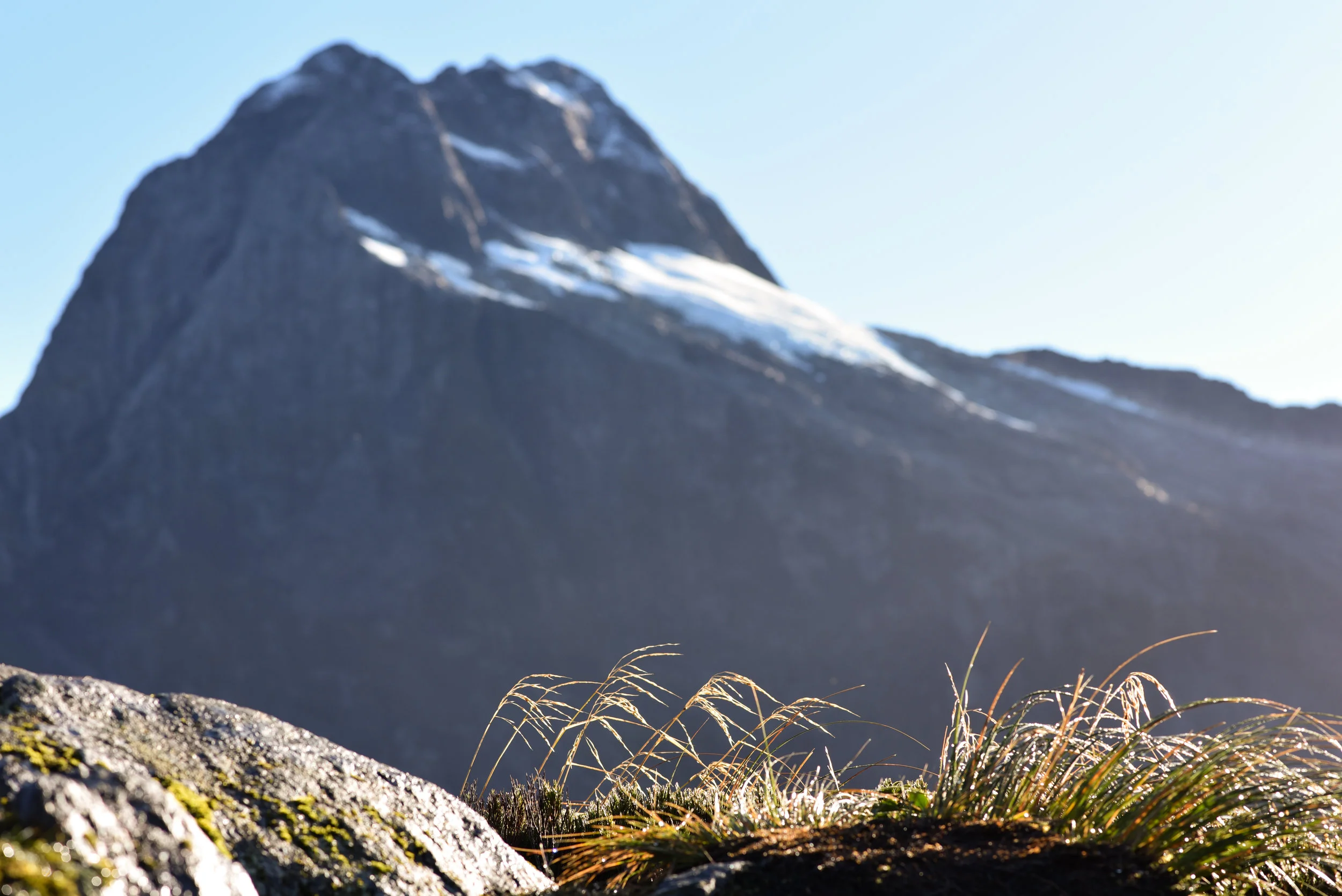 Mackinnon Pass, Milford Track