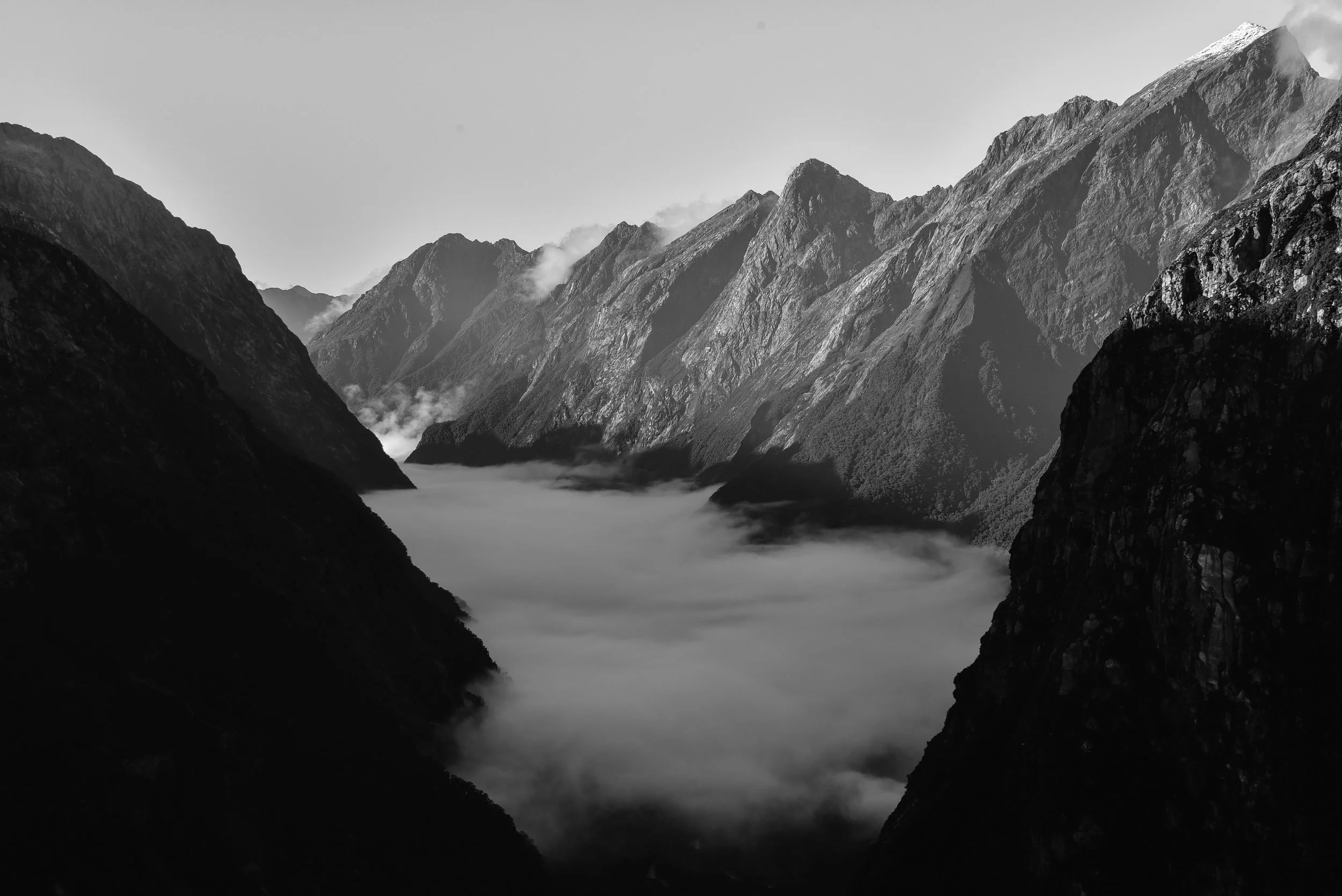 Mackinnon Pass, Milford Track