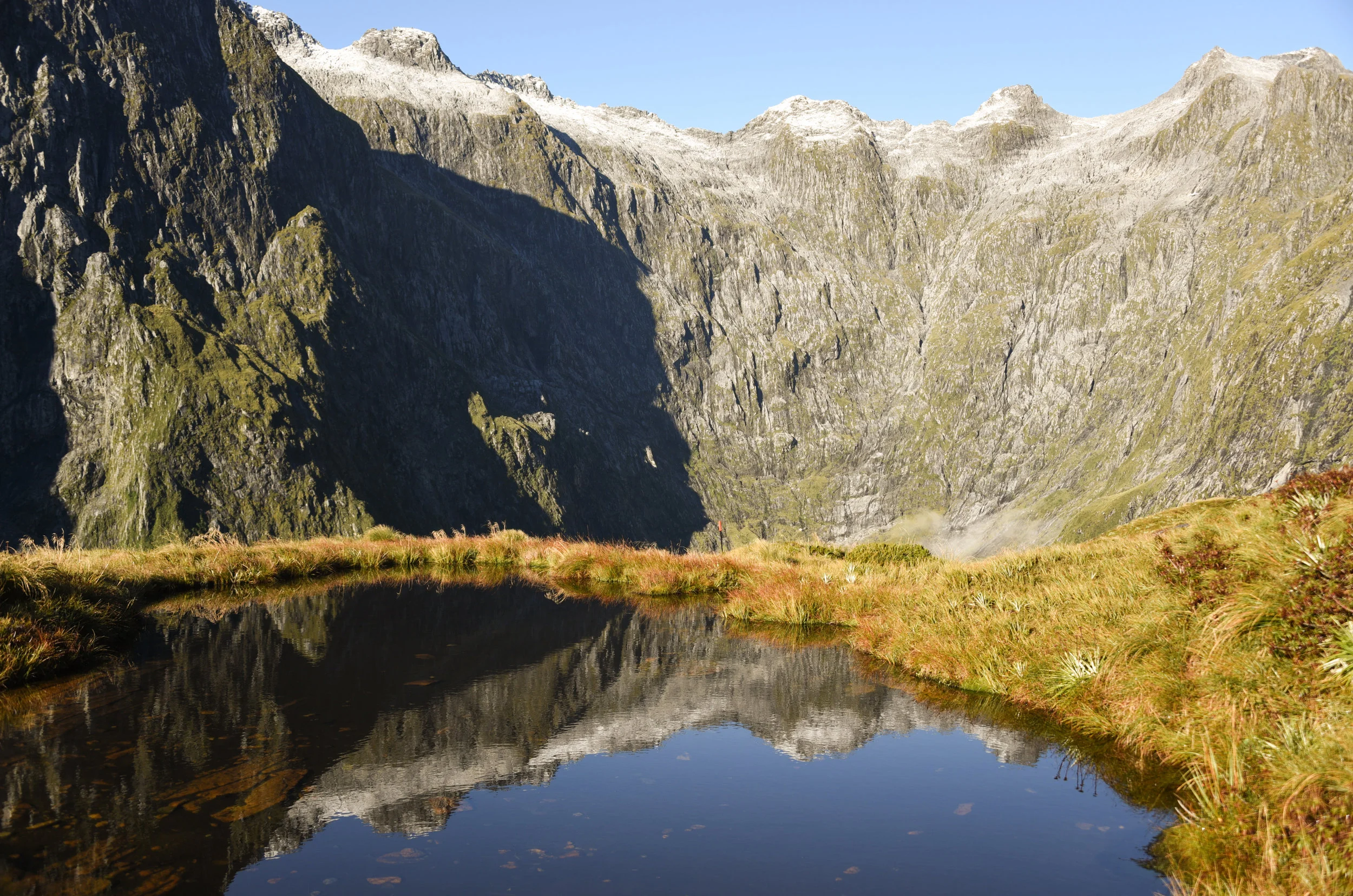 Mackinnon Pass, Milford Track