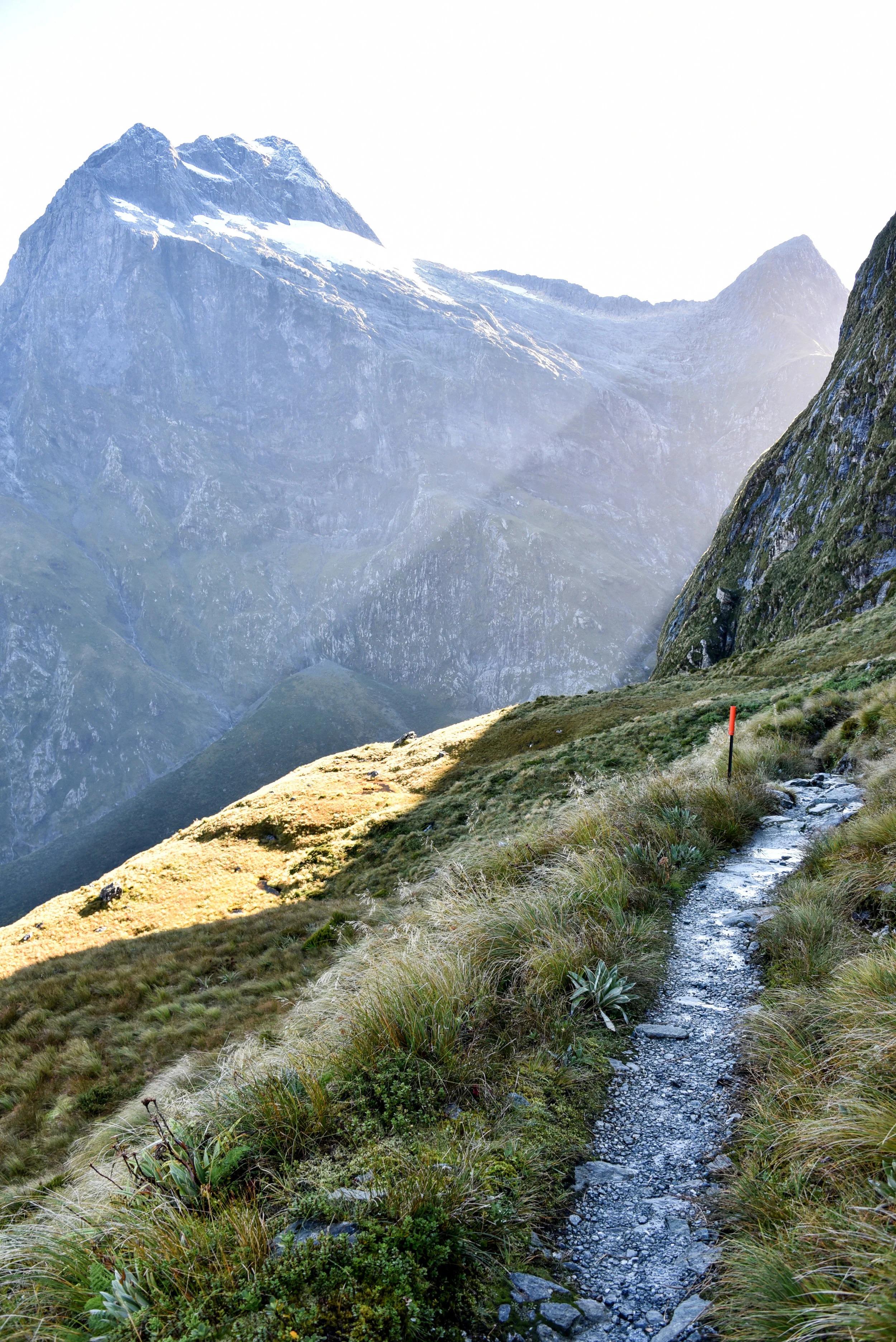 Mackinnon Pass, Milford Track