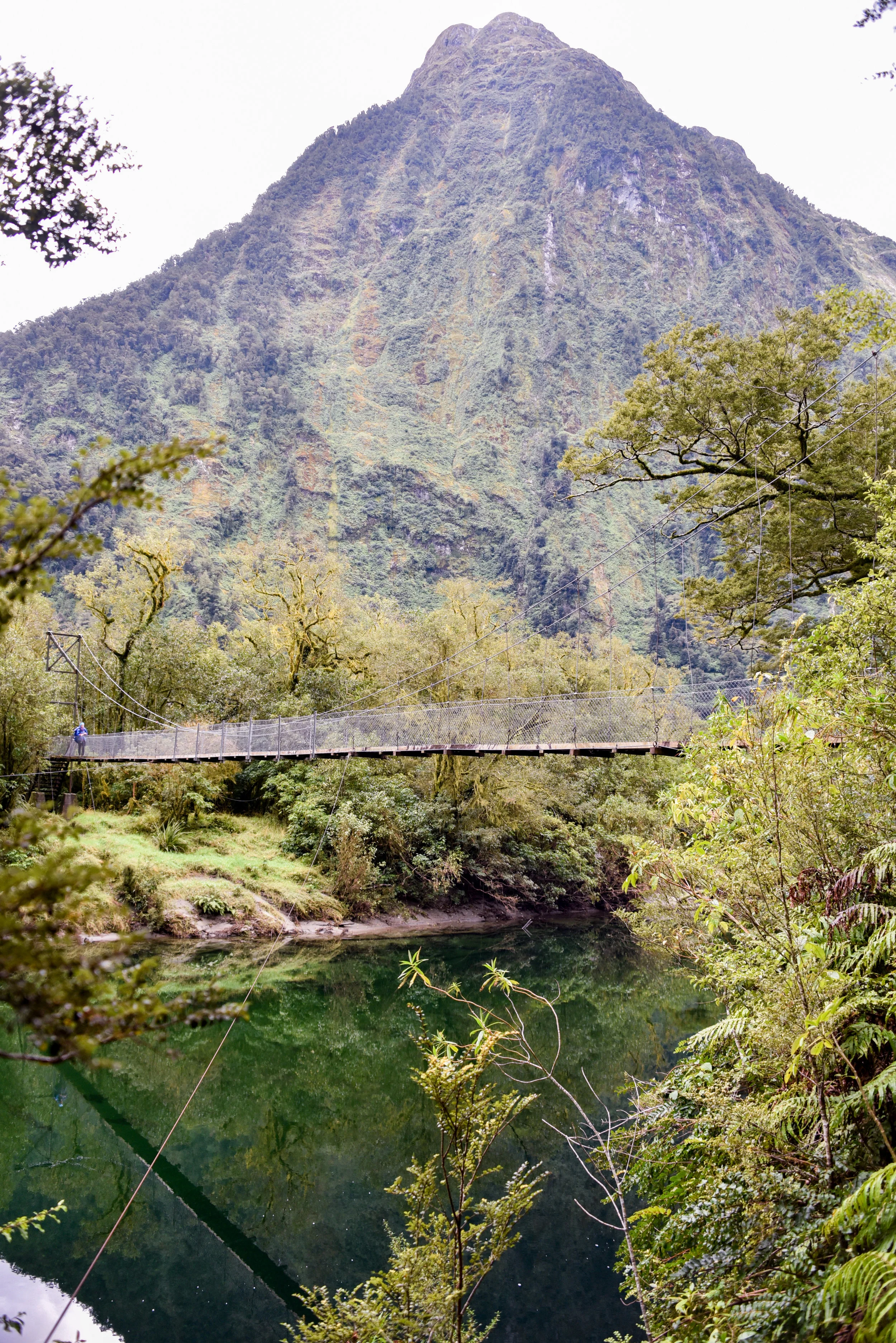 Milford Track