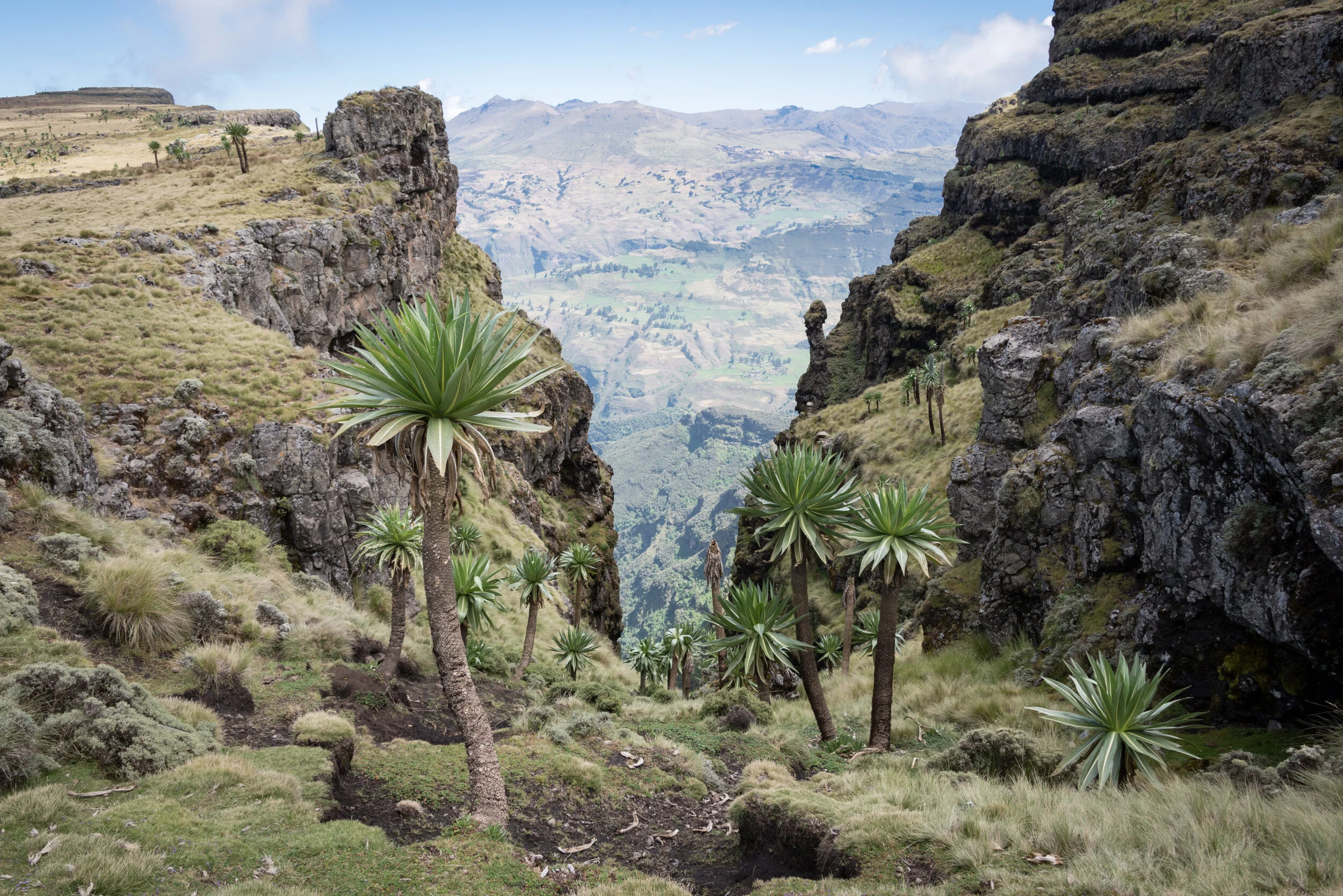 The Simien Mountains, Ethiopia