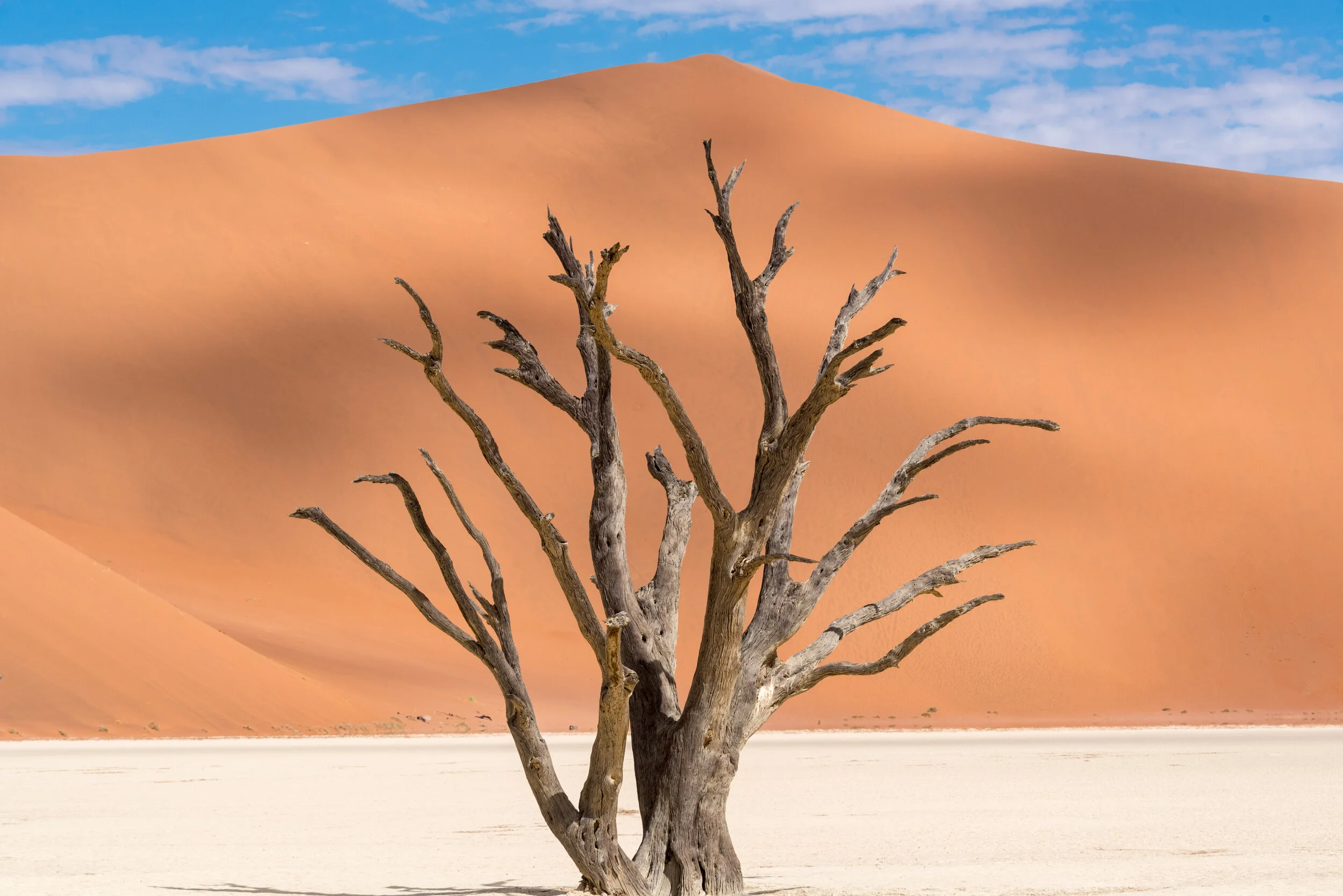 Sossusvlei