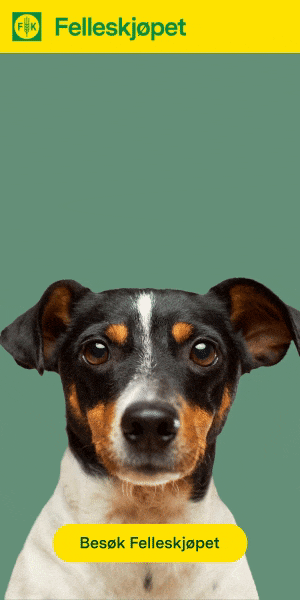 ezgif.com-video-to-gif (5).gif