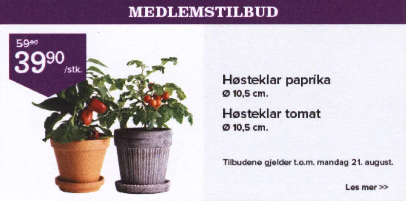 web2-4.jpg