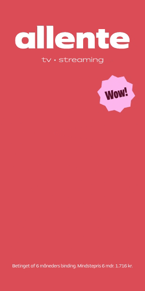 AllenteDKPricePromotion300x600pxred3-ezgif.com-video-to-gif-converter.gif