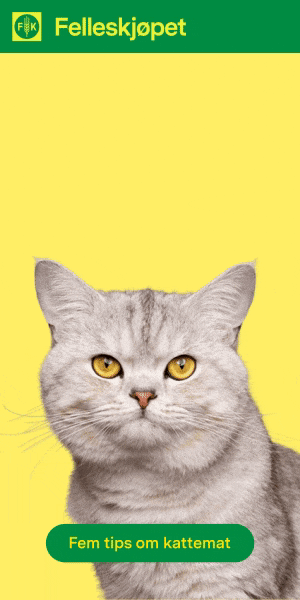 ezgif.com-video-to-gif (1).gif