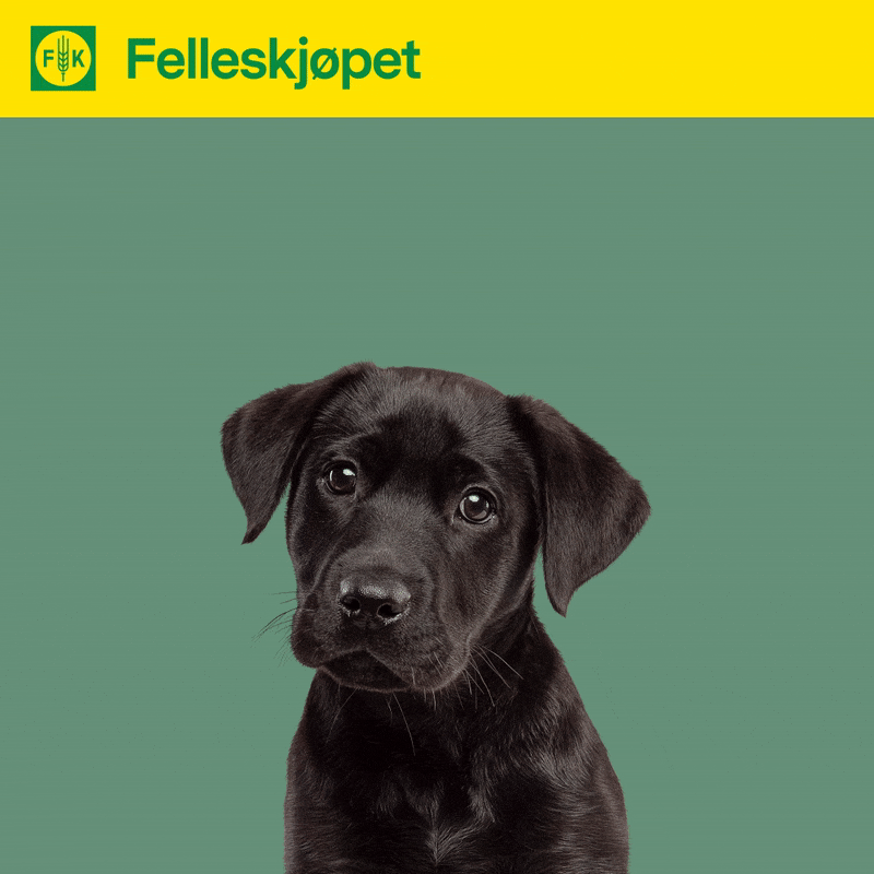 ezgif.com-video-to-gif (14).gif