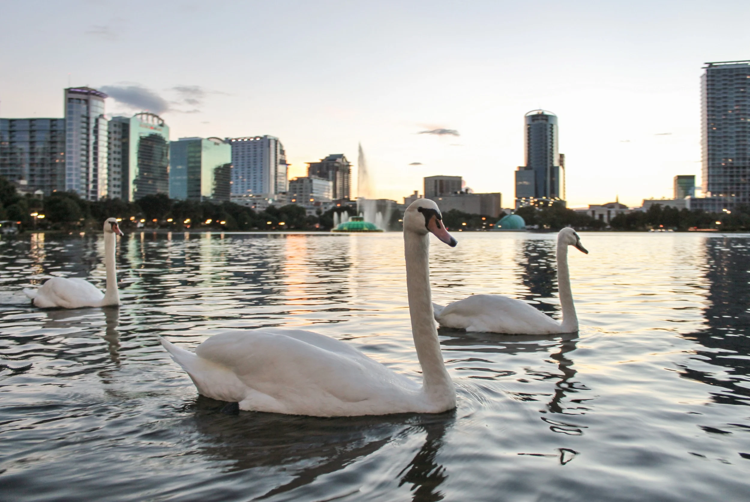 shutterstock_380807497.jpg