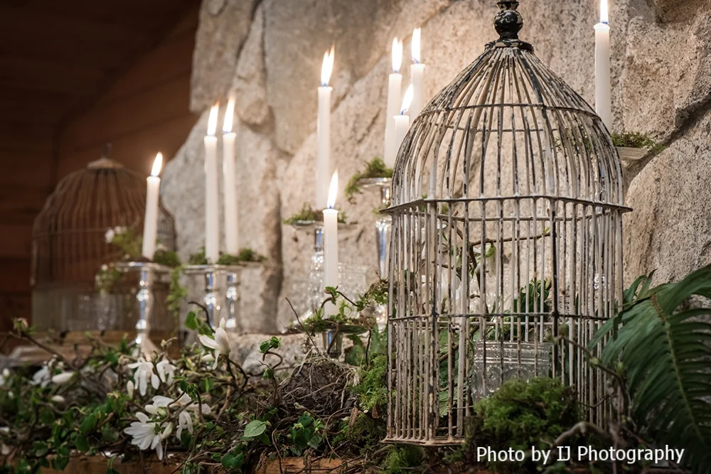 styled_shoot_fireplace_candles_bird_cages_botanicals_reception_IJPhoto_Pine_Creek_Nursery_0269.jpg