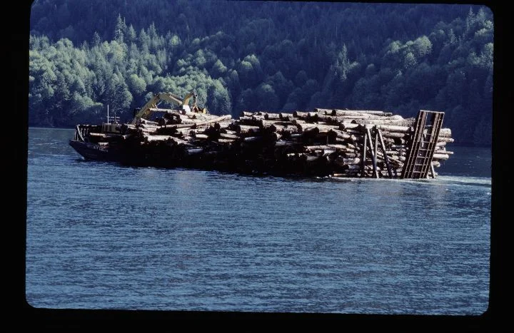 0018 Logging Ship.jpg