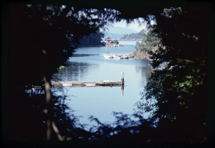 0010 Dock-Through Trees.jpg