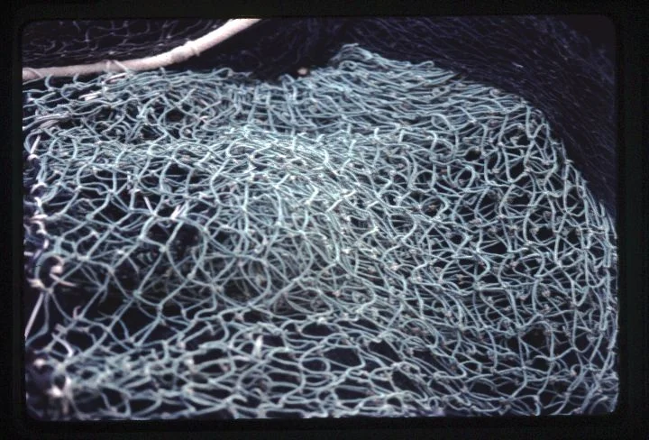 0037 Fishing Net.jpg