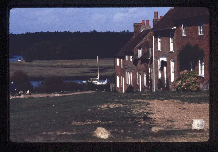 0052 Row of Houses-Forest.jpg