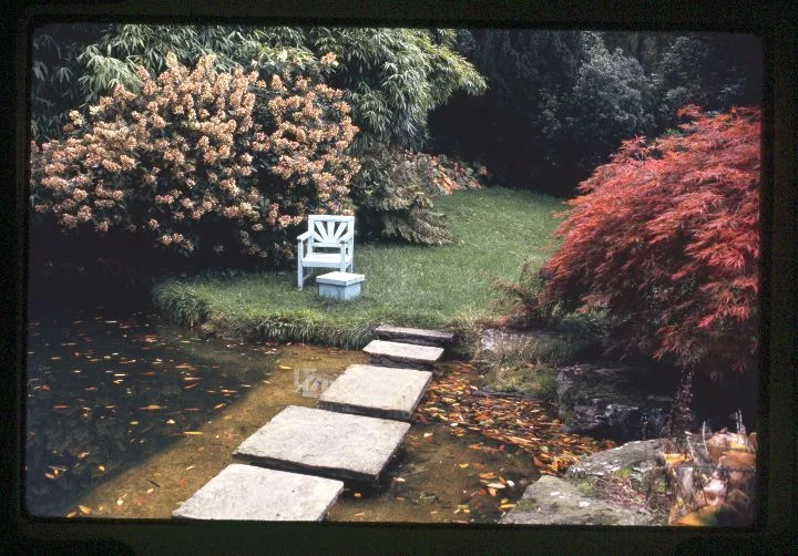 0067 Pond-White Chair.jpg