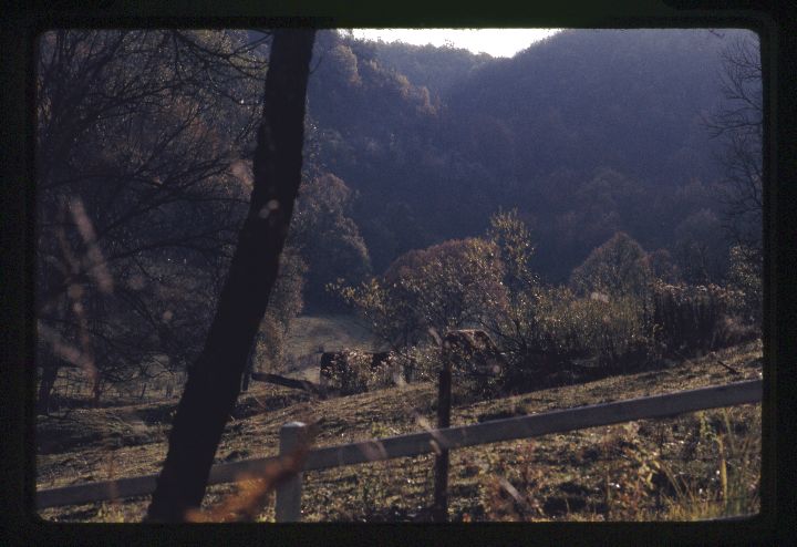 0072 Cow Pasture.jpg