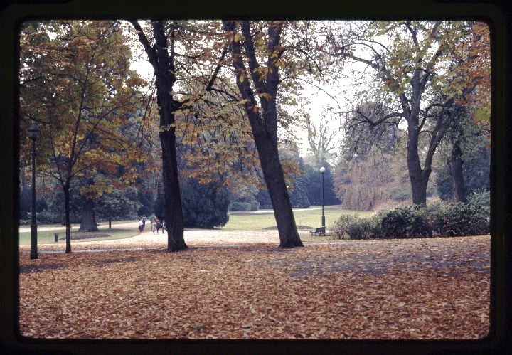0088 Park-Families-Fallen Leaves.jpg