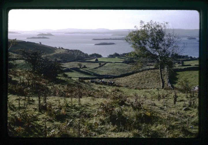 0115 Fields by Lake.jpg