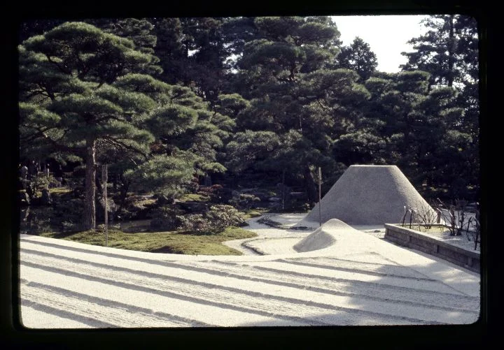 0122 Concrete Cone-Woods.jpg