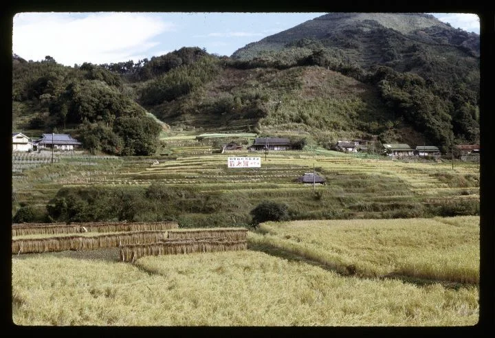 0183 Farm-Fileds-Large Sign.jpg