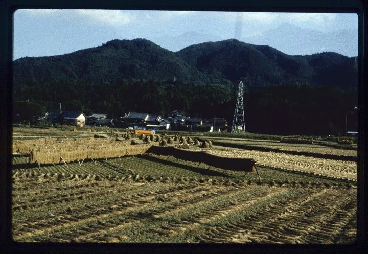 0507 Farm-Windmill.jpg
