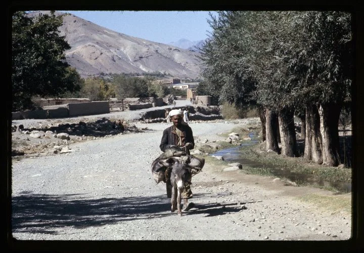 0289 Man on Donkey.jpg