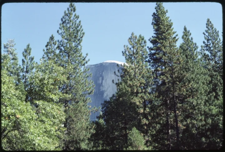 1562 Forest-Mountain Center.jpg