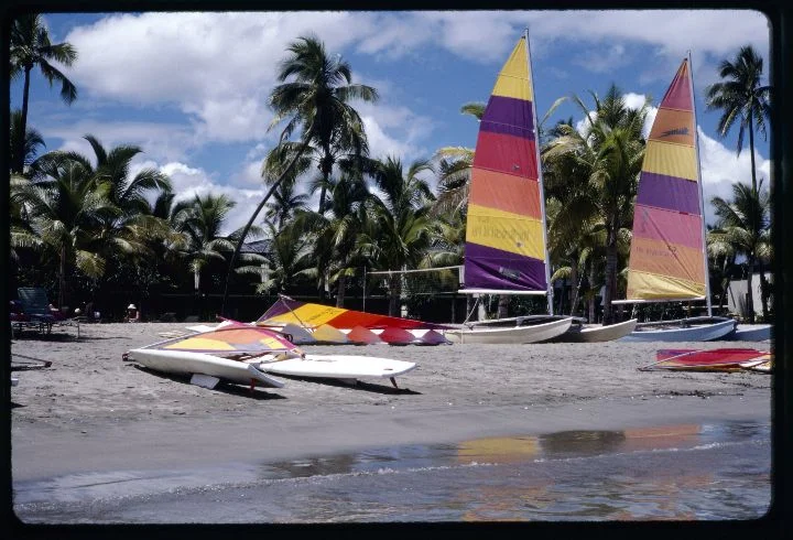 0566 Sailboards.jpg