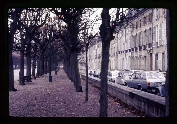 0089 Park-Row of Tree and Houses.jpg