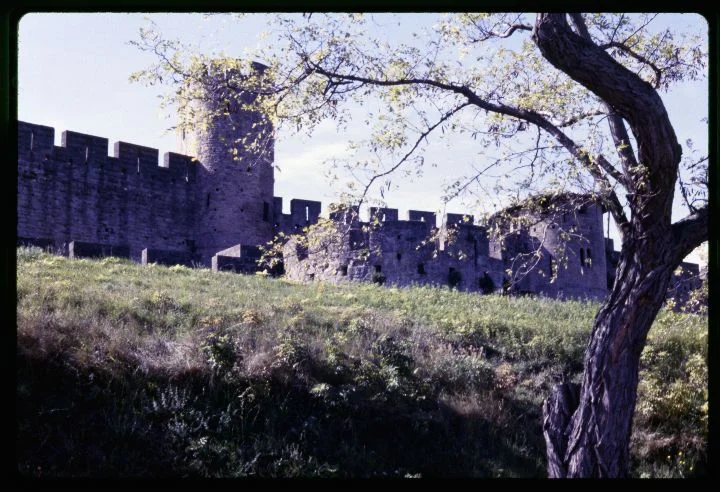 0673 Castle Wall.jpg