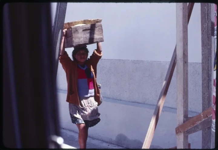 1355 Woman Carrying Box.jpg