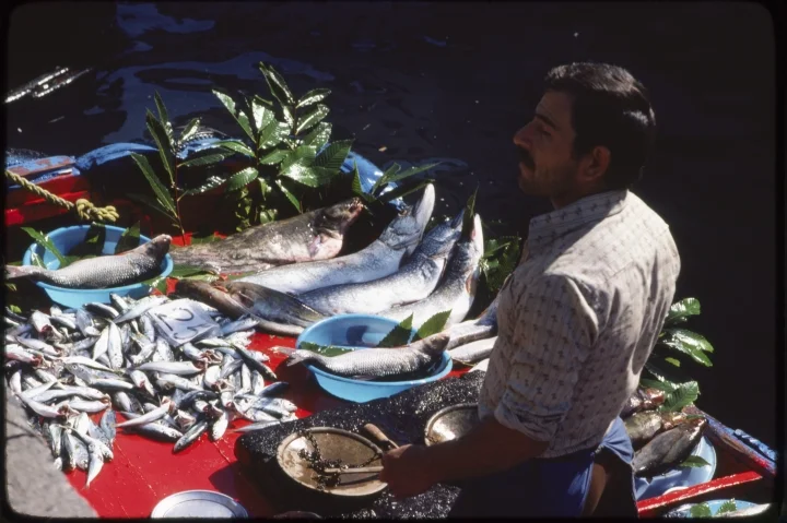 1526 Man Selling Fish.jpg