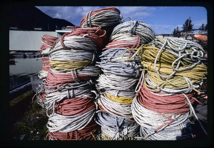 0011 Colored Rope.jpg